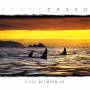 Scott Cossu - Tides Between Us
