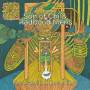 Son Of Chi & Radboud Mens - The Transition Recordings (LP)