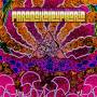Dark - Paradoxal Euphoria