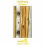 Anthony Green - Studio 4 Acustic Session (Doublemint Green Vinyl)