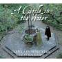 CIRCLE IN THE WATER / VARIOUS - A Circle in the Water