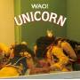 Unicorn - Wao