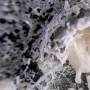 Welten - Thaw