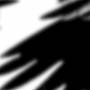N - Ravens