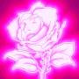 Irene Dresel - Rose Fluo