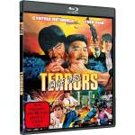 Cynthia Rothrock & Yuen Biao - Tage des Terrors - Cover a [DE-Version, Regio 2/B]