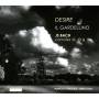 Ponseele / Il Gardellino / + - Desire-Kantaten BWV 32/49/154/+