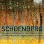 Matteo Fossi / Marco Gaggini - Chamber Symphonies/Five Pieces op.16