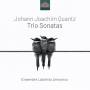 Ensemble Labirinto Armonico - Trio Sonatas