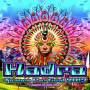 V / a - Hadra Trance Festival 7