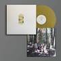 Liars - Sisterworld (ltd. Gold Recycle Col. Lp+mp3)