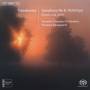 Thomas Dausgaard / Swedish Chamber Orchestra - Sinfonie 6 Pathetique