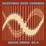 Brooklyn Raga Massive - Terry Riley In C