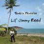 Lil' Jimmy Reed - Blues In Paradise