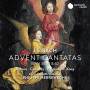 Philippe Herreweghe / Collegium Vocale Gent - Advent Cantatas