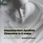 Paolo Bissolo - Hexachordum Apollinis/Chaconne