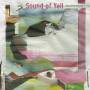 Sound Of Yell - Brocken Spectre (180 Gr.LP+MP3 Code)