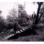 Timber Timbre - Timber Timbre (New Version)