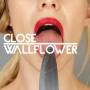Close - Wallflower feat. Fink
