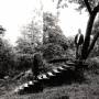 Timber Timbre - Timber Timbre (Black Vinyl)