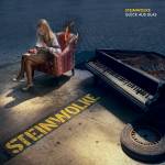 Steinwolke - Glck aus Glas CD Digipak