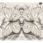 A Bu / + - Butterflies Fly In Pairs [DE-Version, Regio 2/B]
