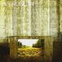 Hey Rosetta - Seeds