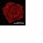 Big Star - Blossom
