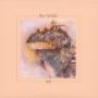 Pete Sinfield - Still