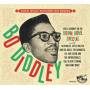 Various Artists - Bo Diddley - Take A Journey On The Down Home Speci