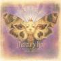 Mercury Rev - The Secret Migation (5CD Deluxe Boxset)