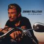 Johnny Hallyday - Ca Ne Finira Jamais
