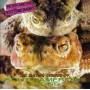 Peter And The Test Tube Babies - The Mating Sounds Of South American
