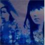 Ice - Midnight Skyway
