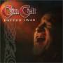 Iwan Dafydd - Can Celt