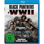 Lighthouse - Black Panthers Of Wwii - Am. Wahre Helden (br) Min: 85/dd5.1/ws [DE-Version, Regio 2/B]