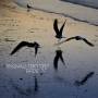 Tingvall Trio - Birds (Digipak)
