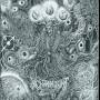 Xenoblight - Procreation (ltd. Lp+mp3)