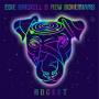 Edie Brickell & New Bohemians - Rocket