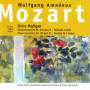 W.a. Mozart - Klavierkonzert,Elvira Madigan