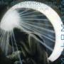 Malombra - Dissolution Age