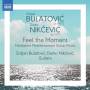 Srdjan Bulatovic / Darko Nikcevic - Feel the Moment