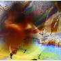 Duyun / Spangler / Haimovitz / Flowers - Shark In You