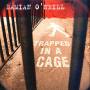 Damien O'neill - Trapped In A Cage