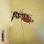 Weeks - Dear Bo Jackson