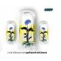 V / a - Plantation