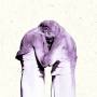 The Antlers - Familiars (2lp+cd)
