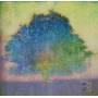 Eric Johnson - Ej
