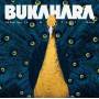 Bukahara - Canaries In A Coal Mine