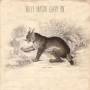 Willy Mason - Carry On